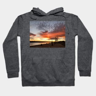 Delightful December Daybreak (2) Hoodie